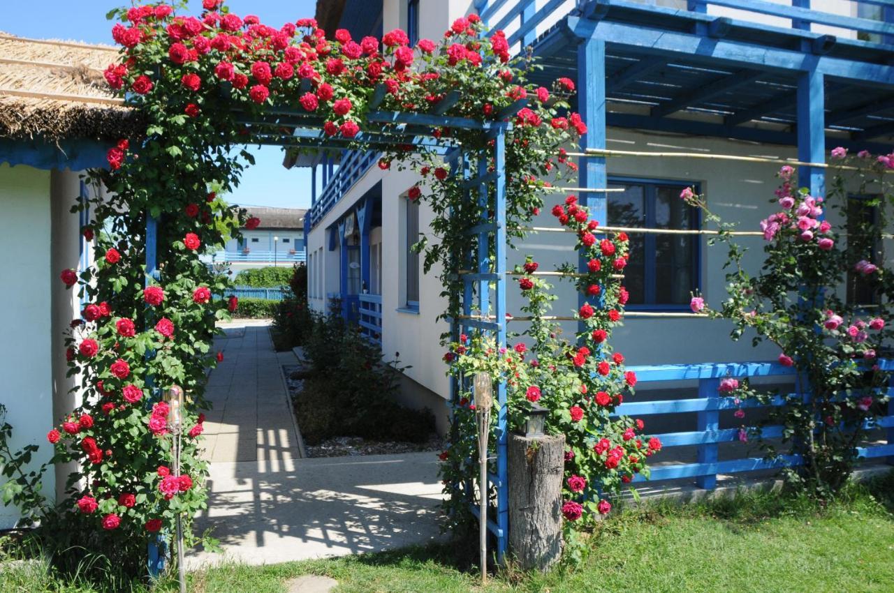 Pension Sharaiman Dunavăţu de Jos Exteriör bild