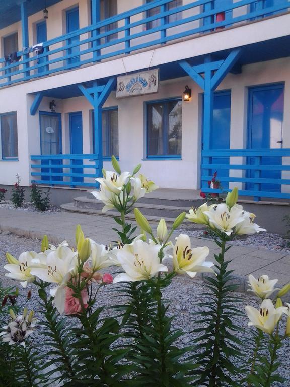 Pension Sharaiman Dunavăţu de Jos Exteriör bild